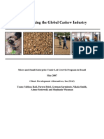 Benchmarking The Brazil Cashew Sector - 0 PDF