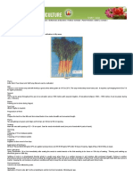 Horticulture - Vegetables - Carrot PDF