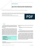 Oclusion Intestinal X Video PDF