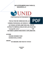 Esquema de Mi Tarabajo de Investigacion (Maria Huaman Novillo)