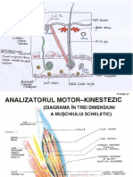 analizatori.pdf