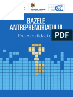 Bazele-antreprenoriatului.pdf