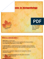 Understanding Special Stains in Pathology