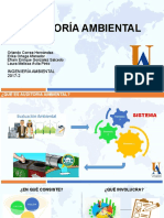 Auditoria Ambiental G-5