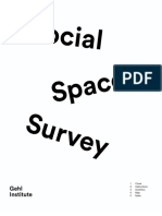 Social Space Survey PDF