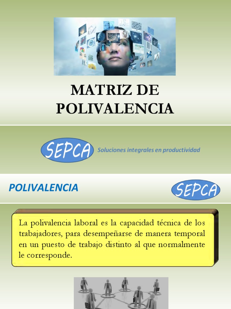 Análisis de la matriz de polivalencia para mejorar las capacidades del ...