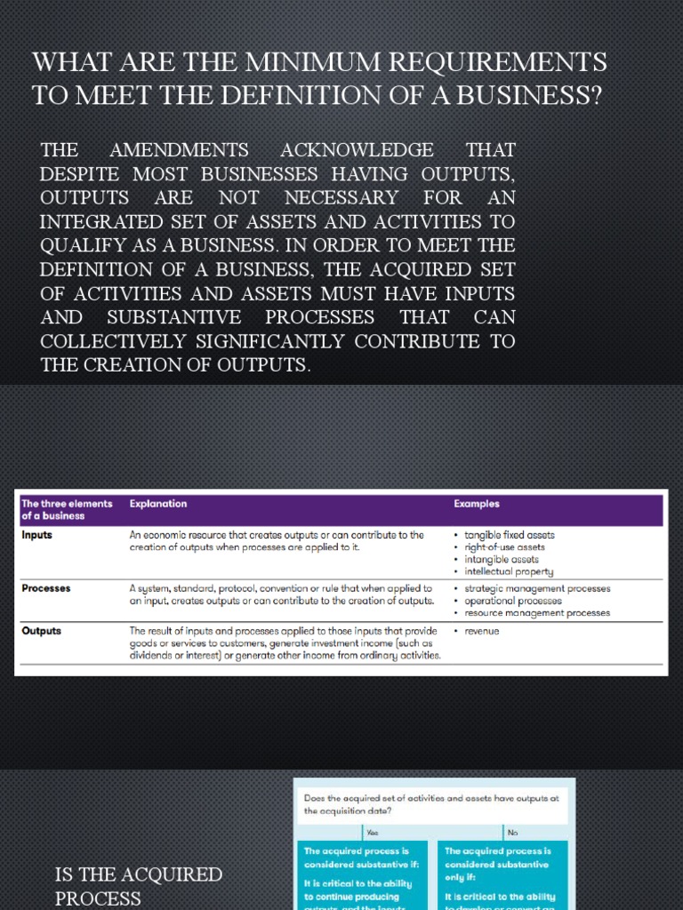 Definition of Business | PDF