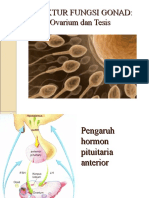 Oogenesis dan Spermatogenesis