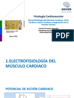 Fisiología Cardiovascular - Dover Clases-1
