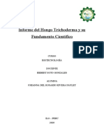 Trichoderma Informe