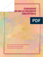 2010 Cuidados Críticos en La Paciente Obstétrica PDF