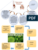 Cadena Epidemiologica PDF