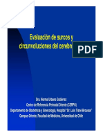 Evaluacion de Circunvoluciones y Surcos Cerebrales Dra Norma Urbano Gutierrez - Archivo