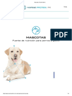 Mascotas _ Protein Marine