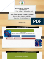 Diapositivas Acidos Nucleicos