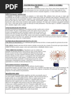Eletromagnetismo_2009_JB