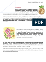 Las Plantas y La Producción de Alimentos: Lunes 13 de Julio Del 2020