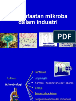 Aplikasi MikroOrganisme Dalam Industri