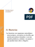 Bacterias Taxonomia