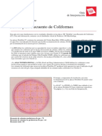 Guía de Interpretación Petrifilm Coliformes