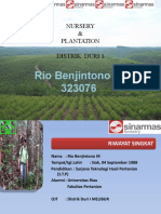 Rio Plantation