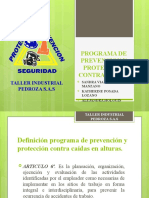 PROGRAMA DE PREVENCION Y PROTECCION CONTRA CAIDAS.pptx