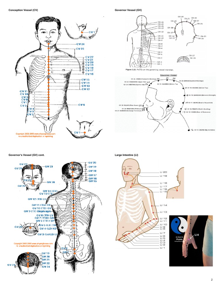 Conception and Governor Vessel Points | PDF