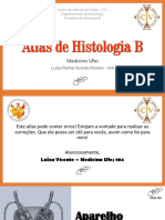 Sist. Reprodutor Masculino - Luíza Vicente 104.pdf
