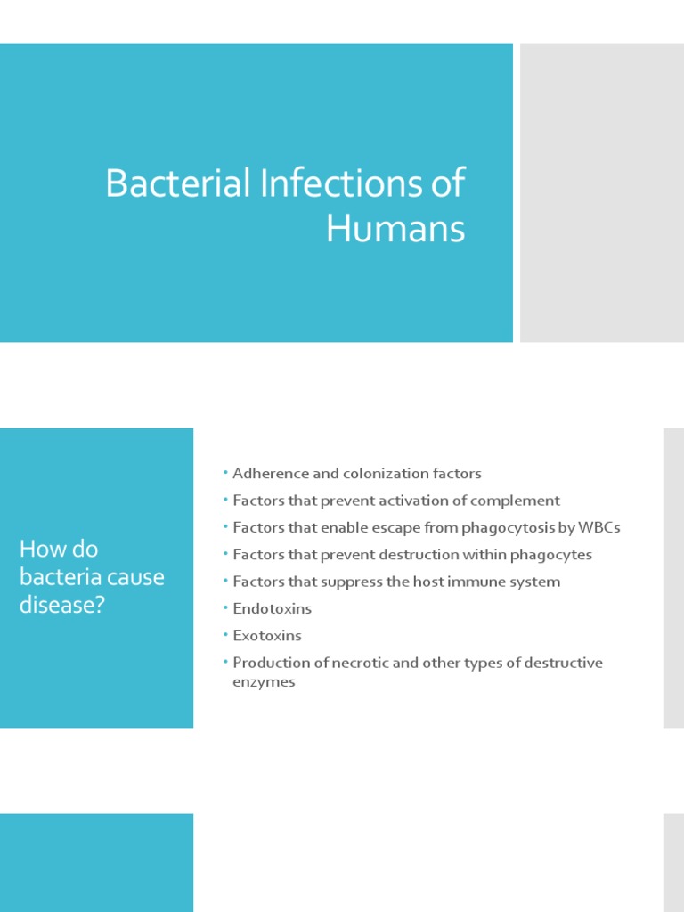 Understanding Bacterial Infections in Humans | PDF | Pneumonia ...