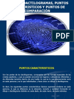 Tipos de dactilogramas y puntos característicos para identificación