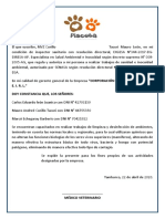 Certificado Piscota 02