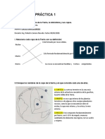 Práctica 1 de Geología