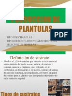 Produccion de Plantulas
