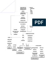 Woc-Nstemi PDF