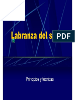 1 Labranza PDF