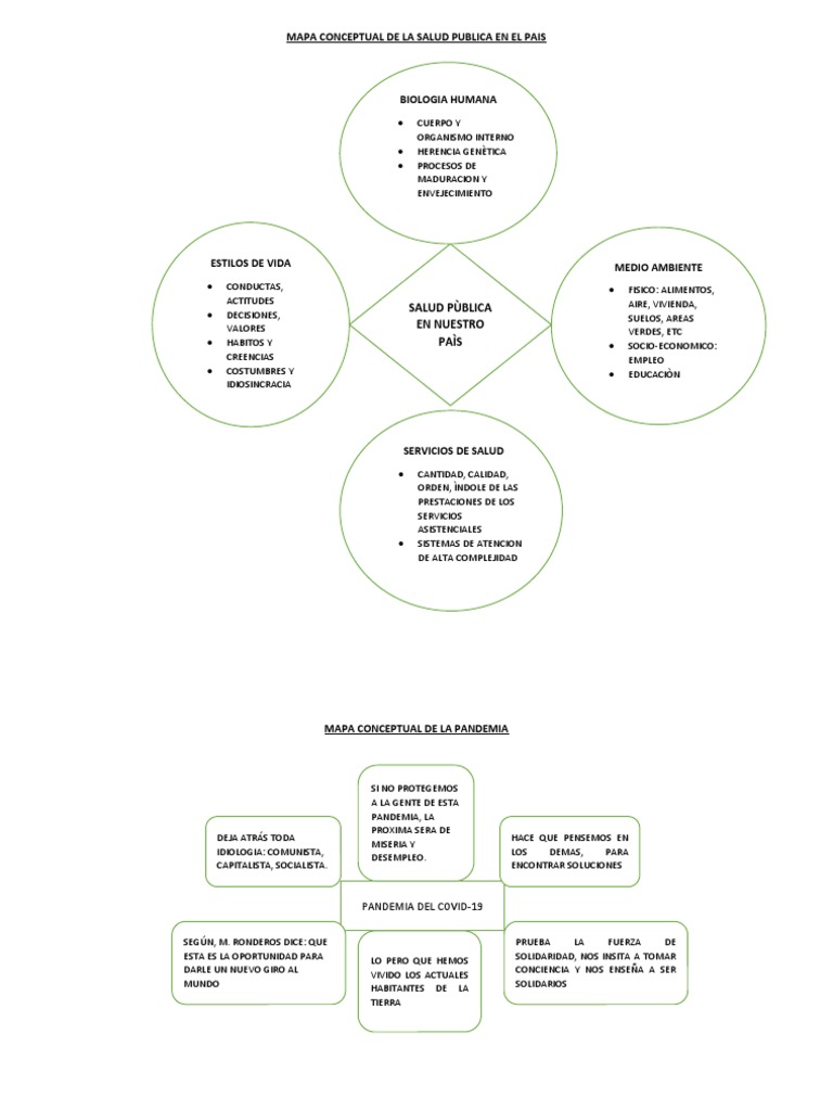 Mapa Conceptual de Salud Pública | PDF | Conceptos psicologicos | Salud ...