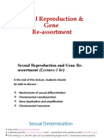 Sexual Reproduction Gene Reassortment