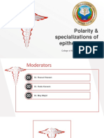 Polarity & specializations of epithelia tissue