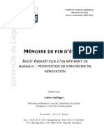 2009_2010_BELLIGOI_Thomas.pdf