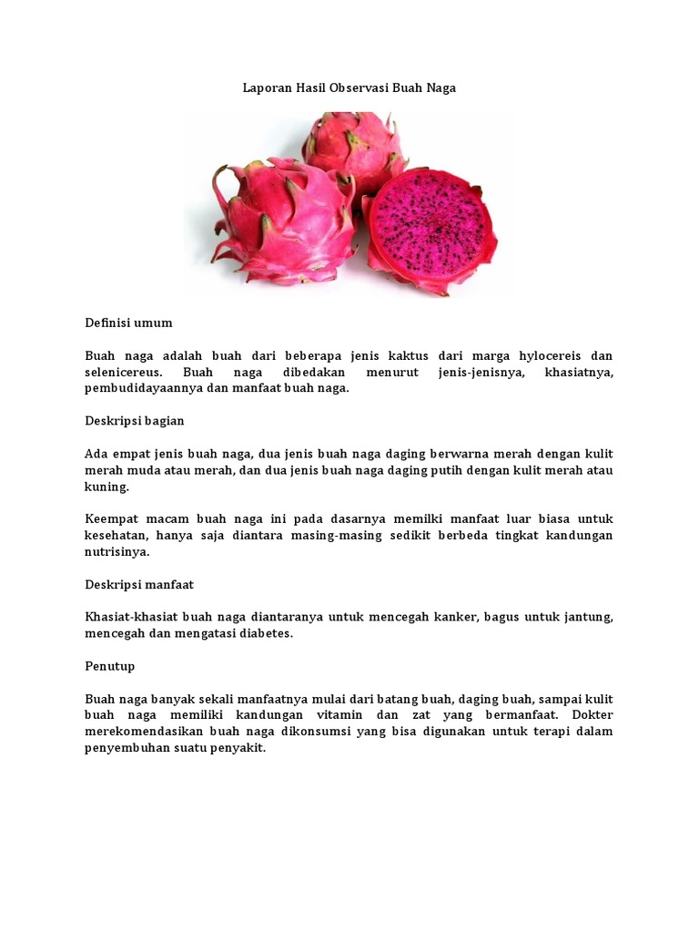 Laporan Hasil Observasi Buah Naga