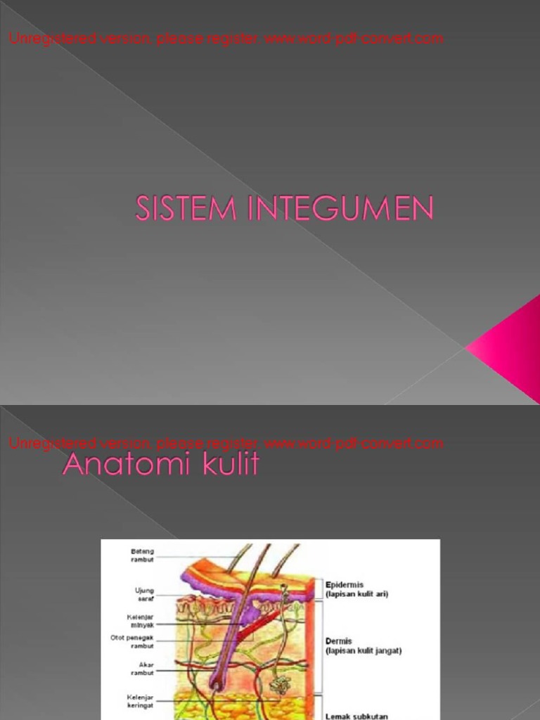 Askep Sistem Integumen PDF | PDF
