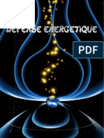 Defense Energetique PDF