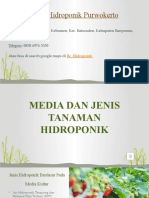 Toko Hidroponik Purwokerto