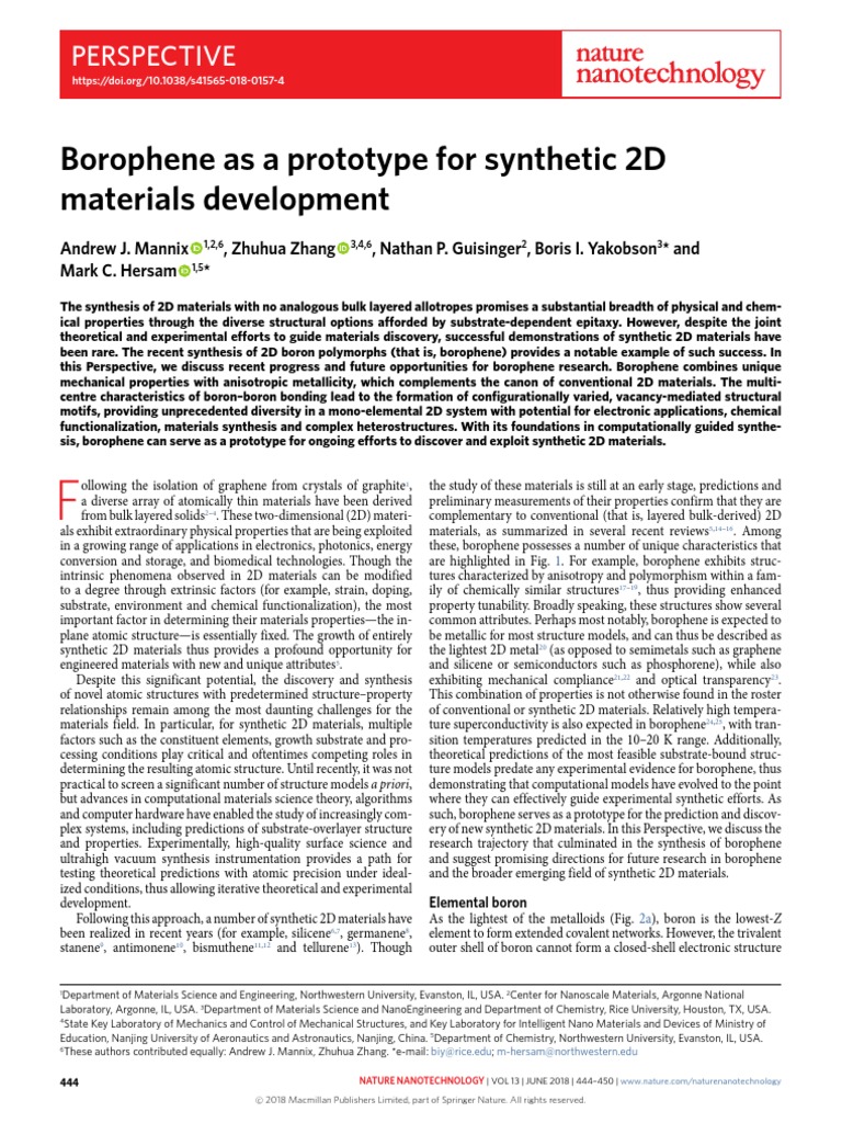 Borophene As A Prototype For Synthetic 2D Materials Development 