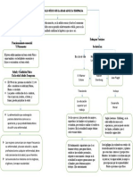 Mapa Conceptual Desarrollo Fisico en La Edad Adulta