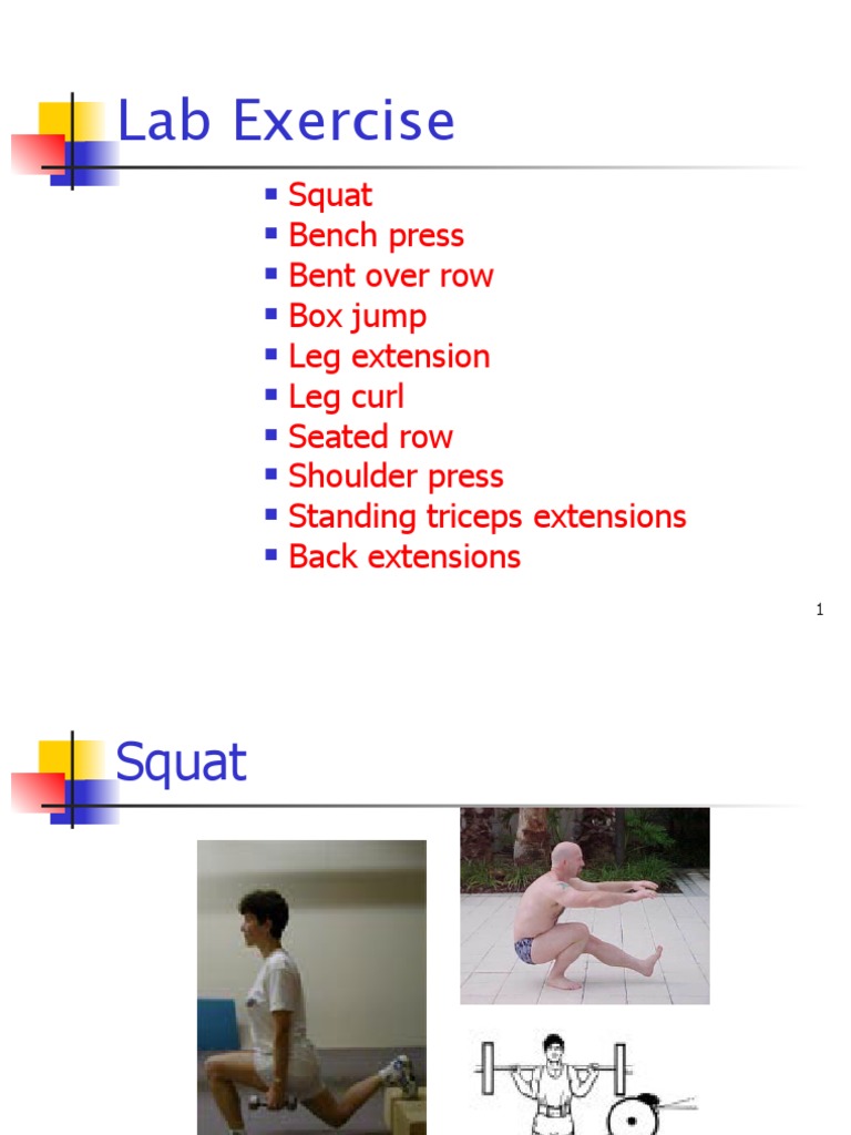 Essential Lab Exercises Guide | PDF