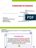 3.3 Role of Hormones in Humans: Prepared By: PN Nadhirah Binti Abdul Haziz Biology Teacher SMK Puteri Wilayah