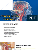 Circulacion Cerebral