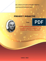 Proiect Didactic, Druță