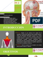 Nuca y Región Dorsal - Doctor Agüero - 22C